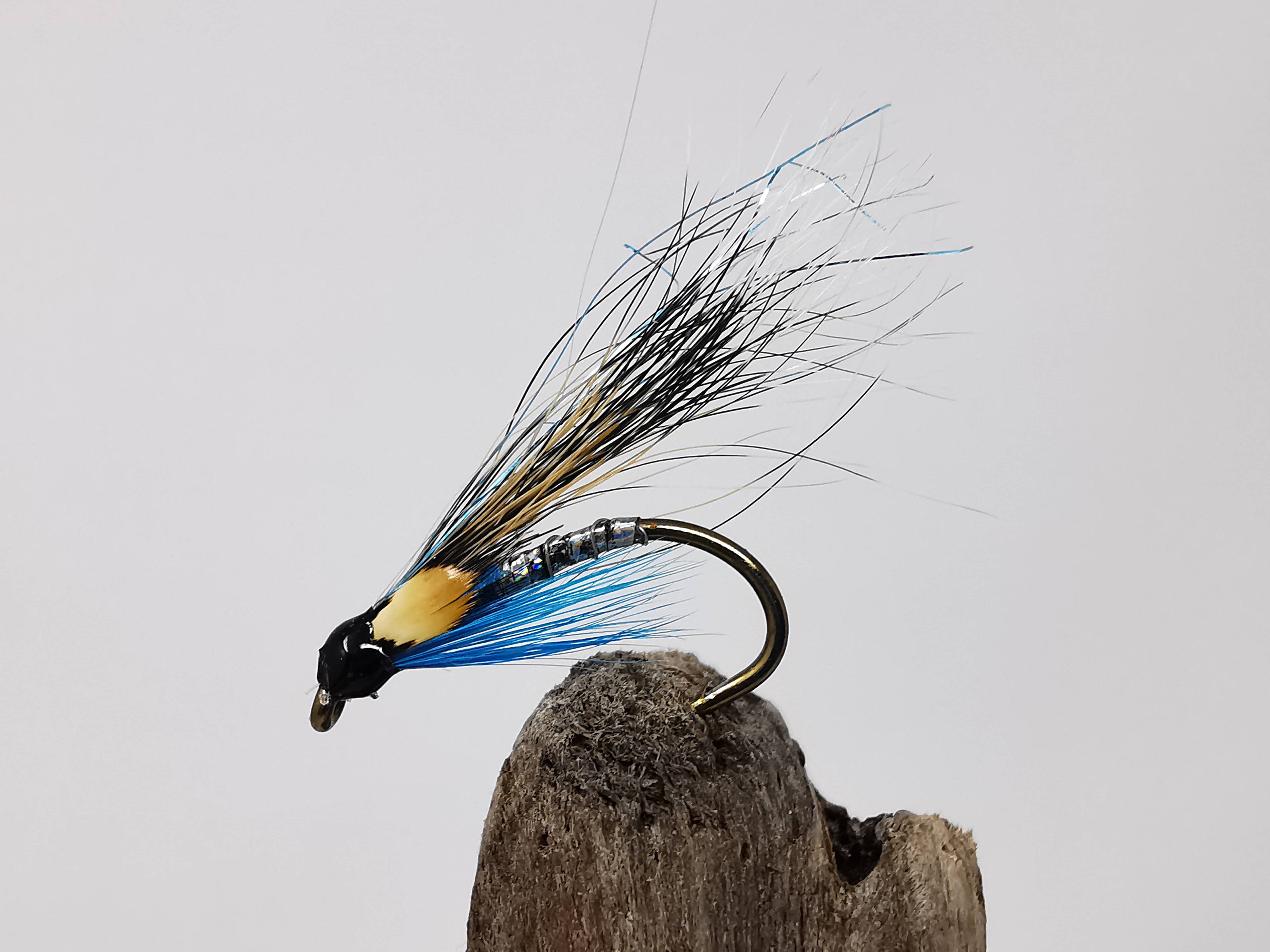 Squirrel and Blue JC