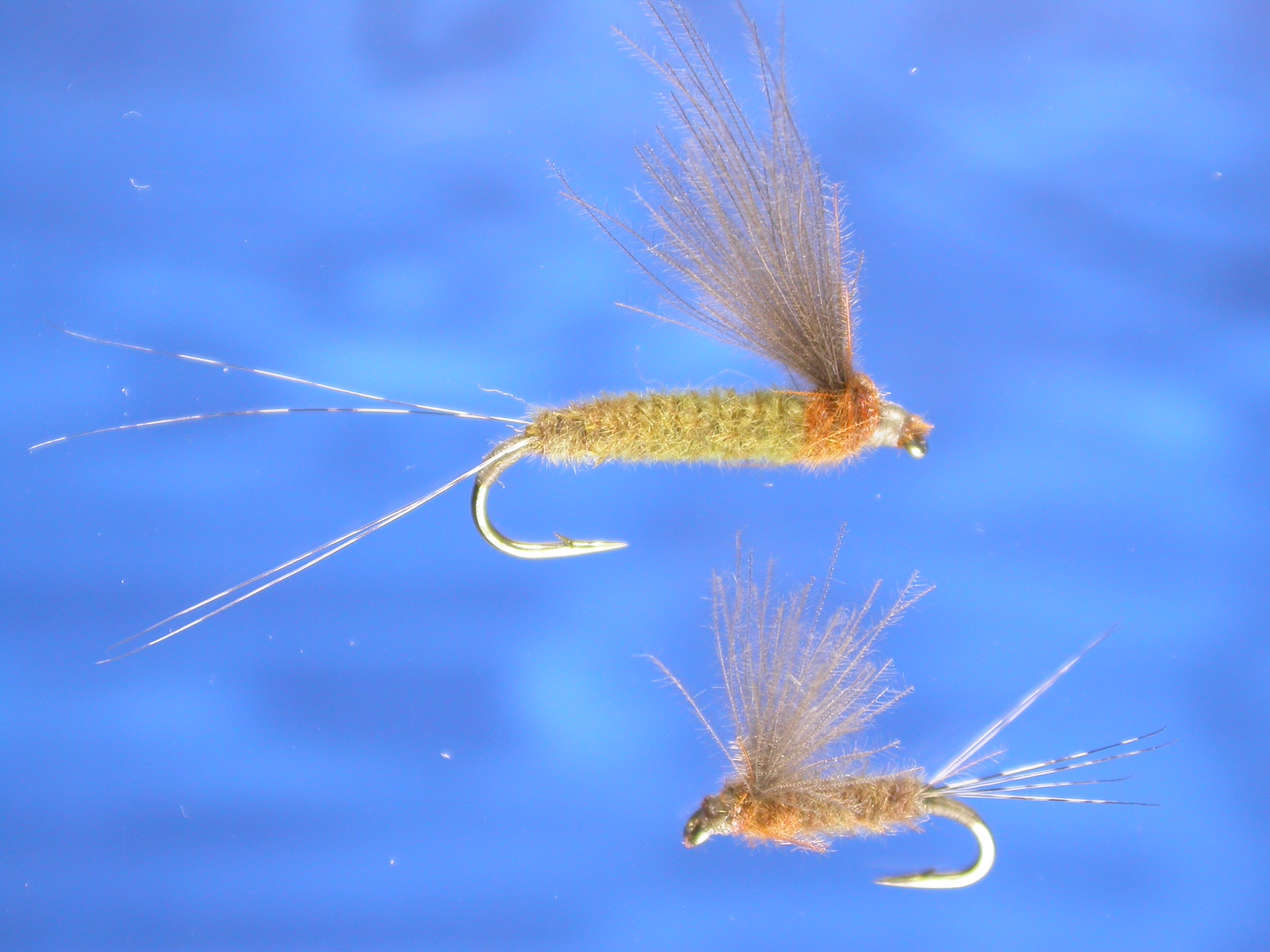 CDC Mayfly