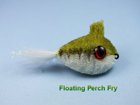 Floating Perch Fry