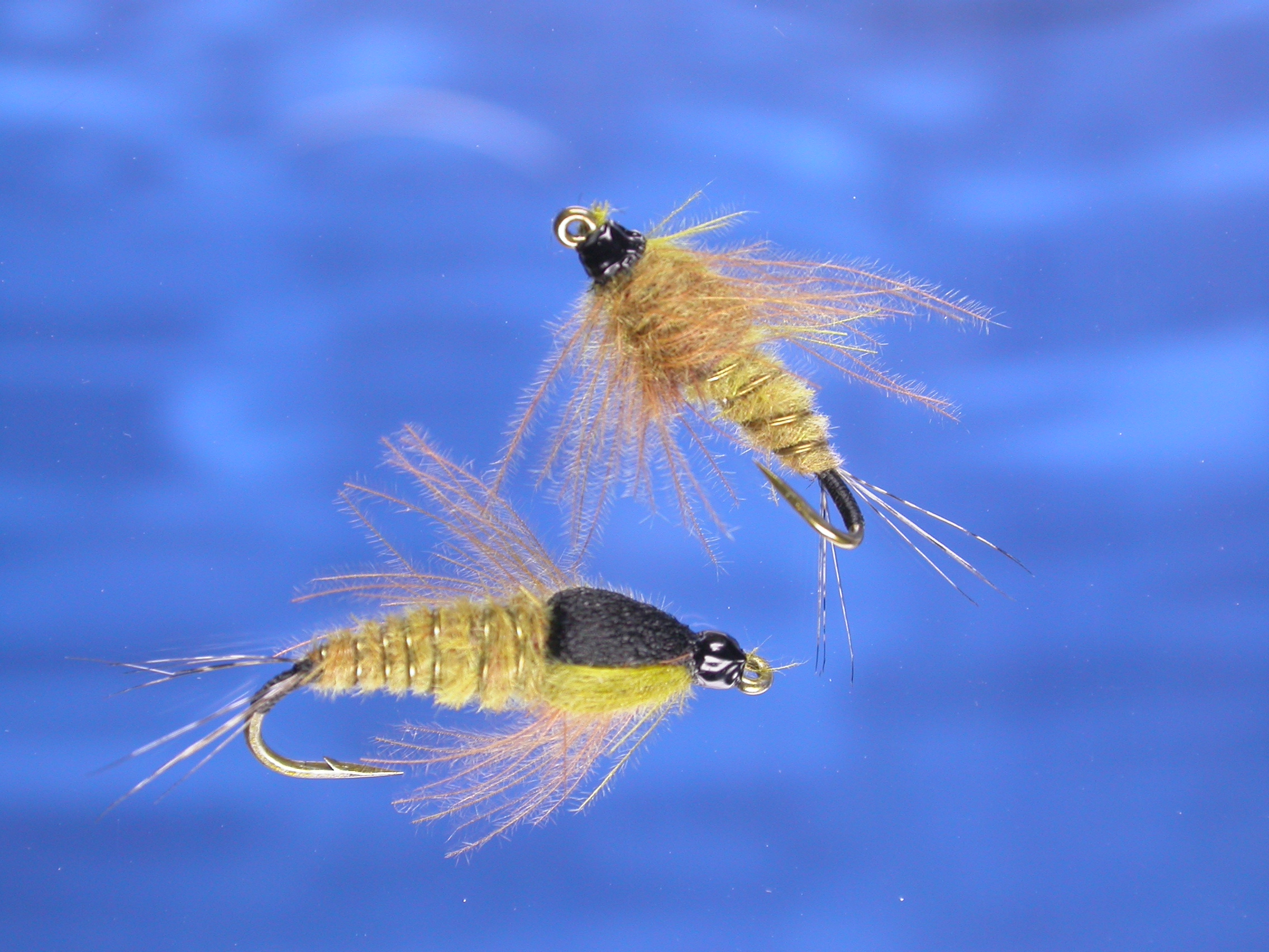 Golden CDC Nymph