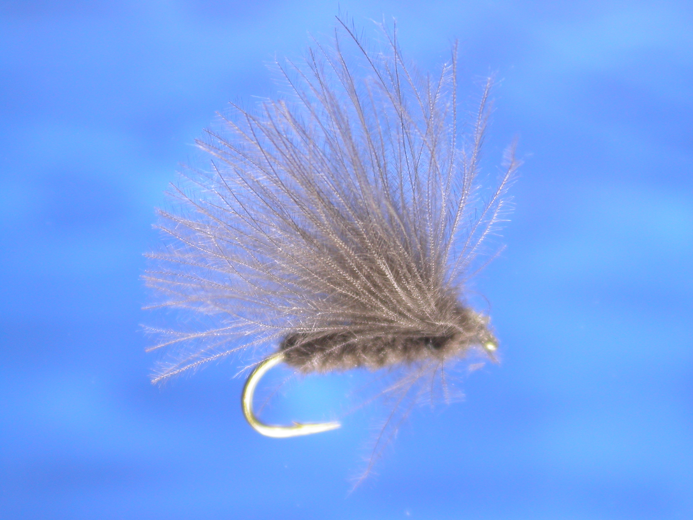Grey CDC Caddis Fly