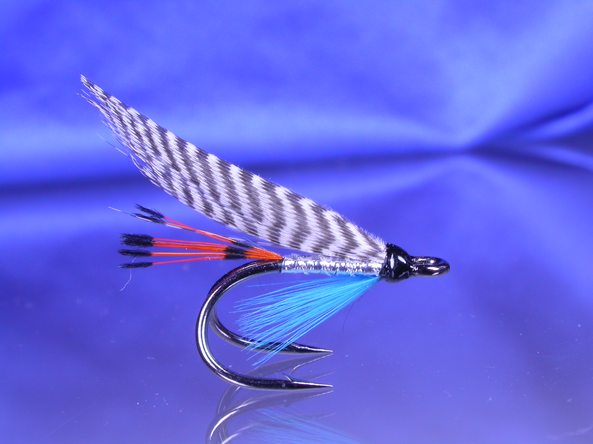 Teal Blue and Silver BMD