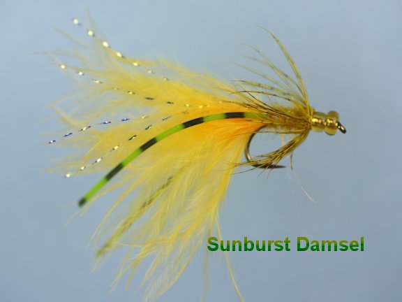 Sunburst Damsel