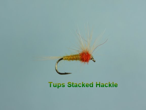 Tups Indispensible Stacked