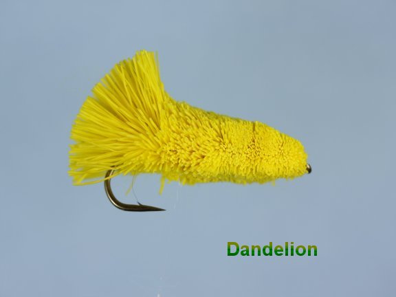Dandelion Longshank