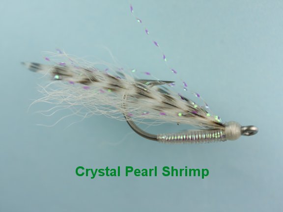 Crystal Pearl Shrimp