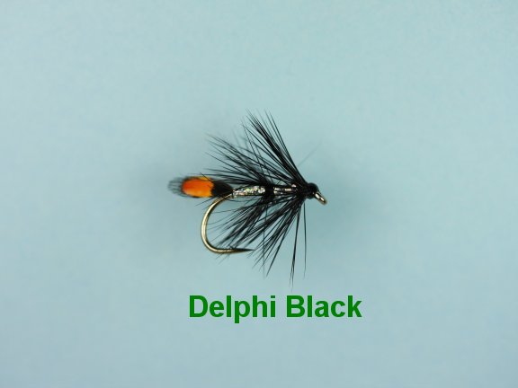 Delphi Black