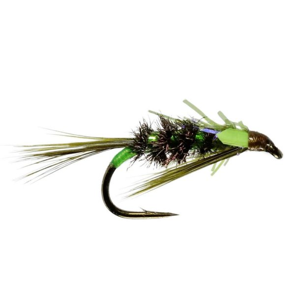 Diawl Bach UV Olive