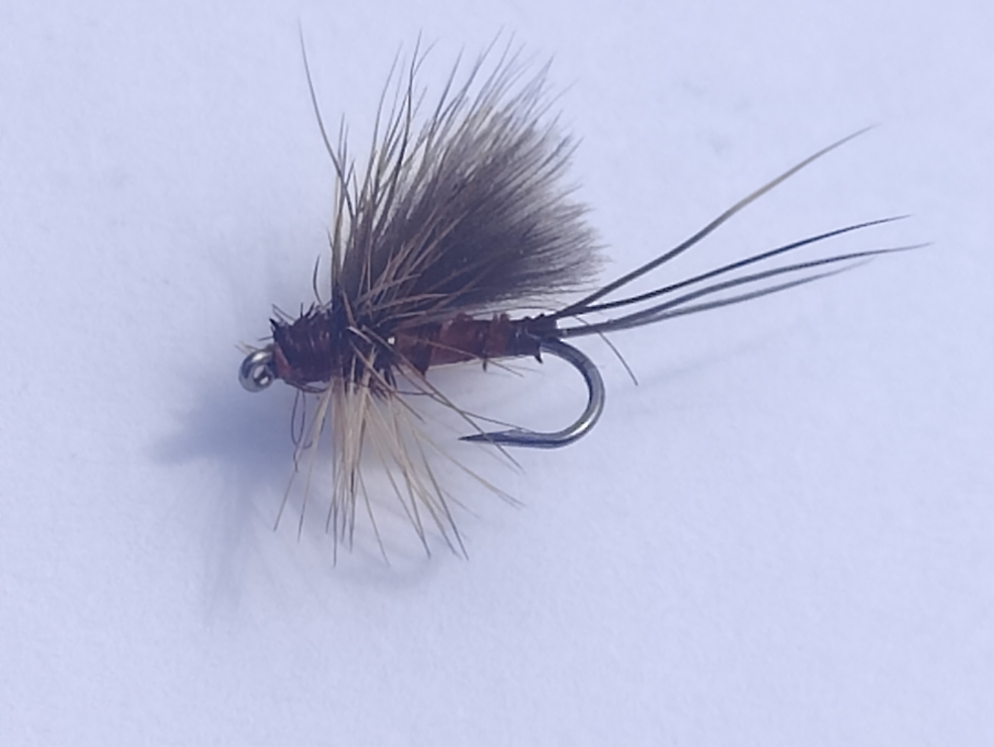 Hatchback Mahongany Dun