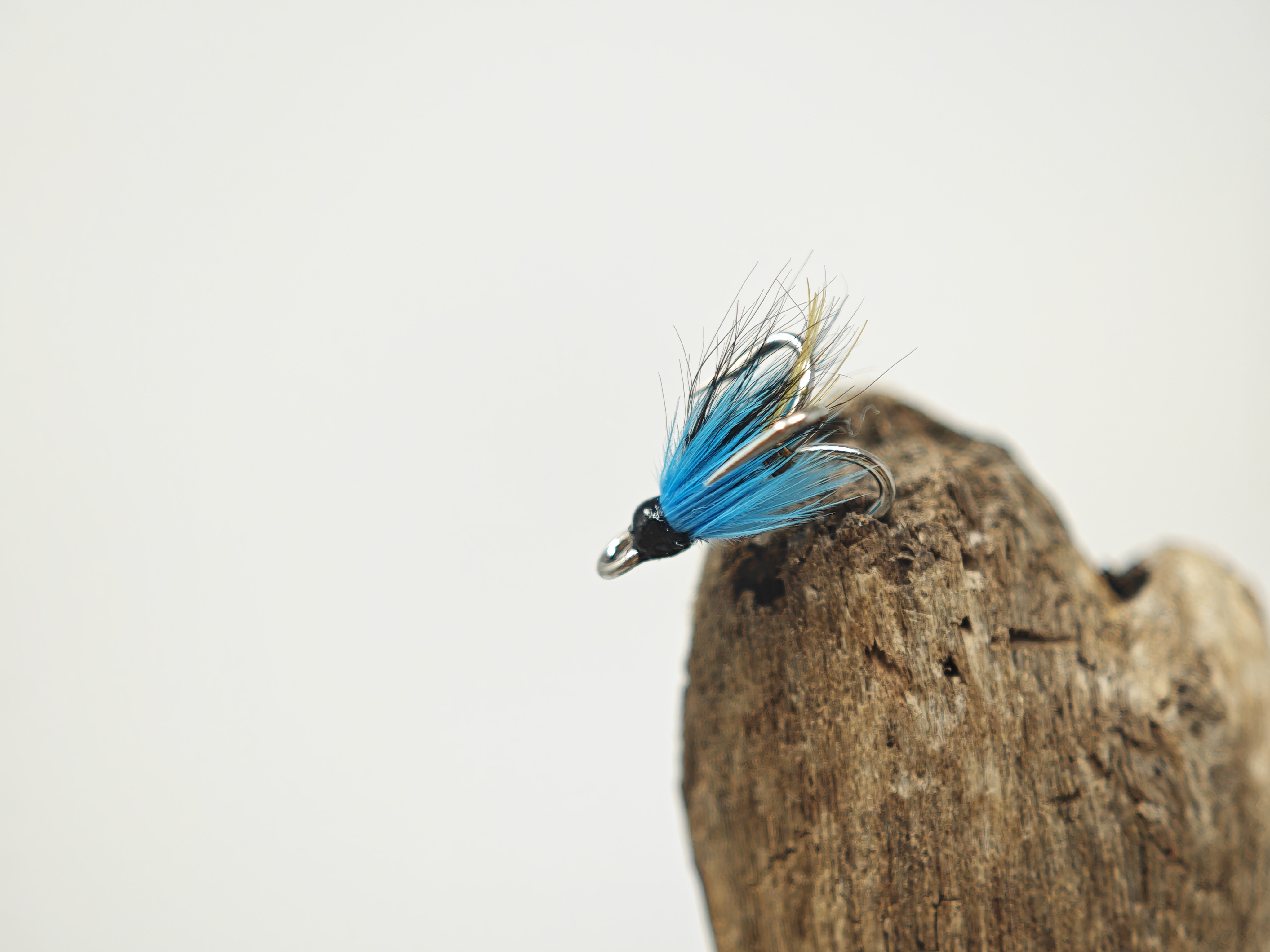 Blue and Black Longtail