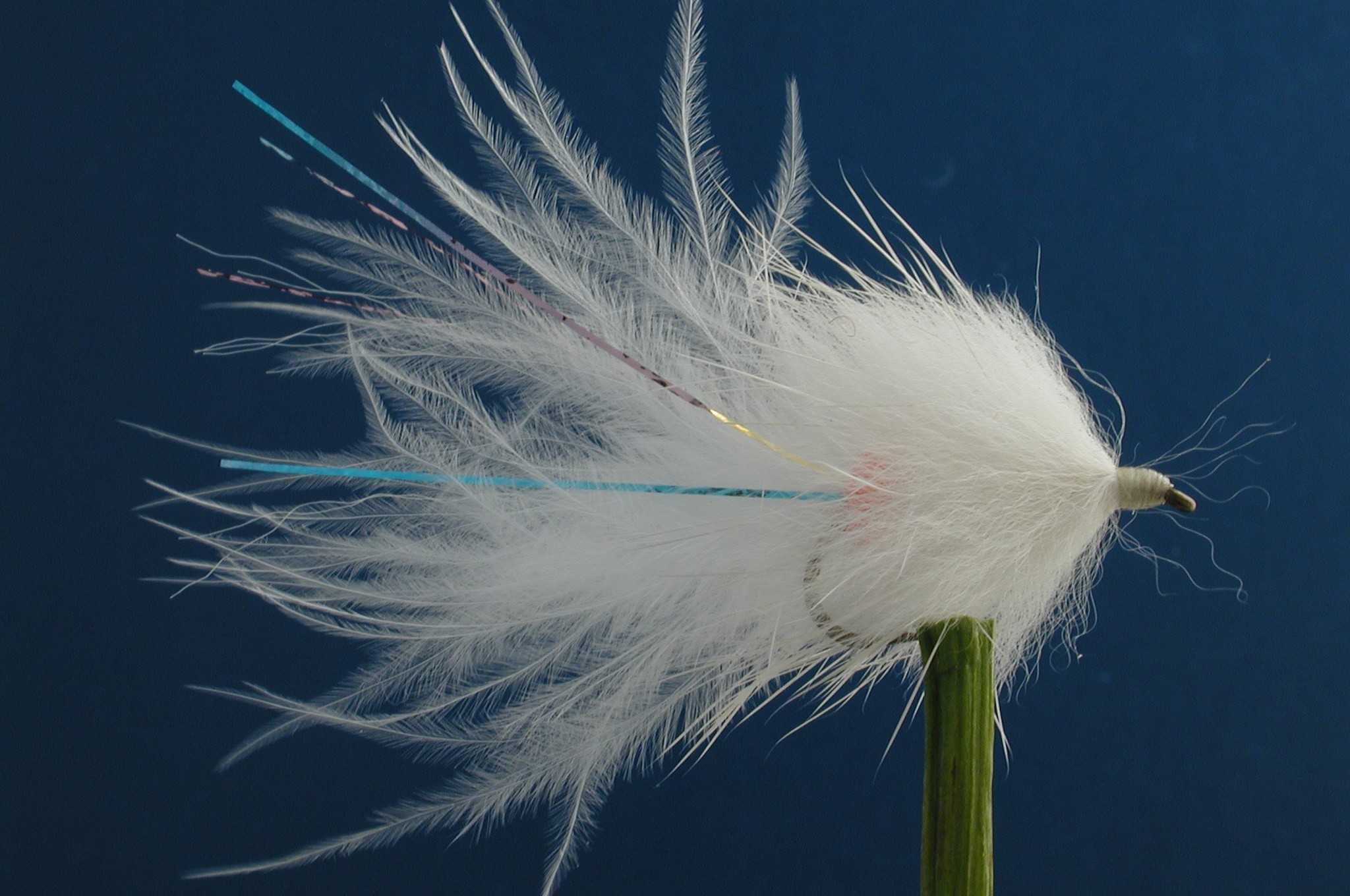 Stewarts Millionaire Taddy White