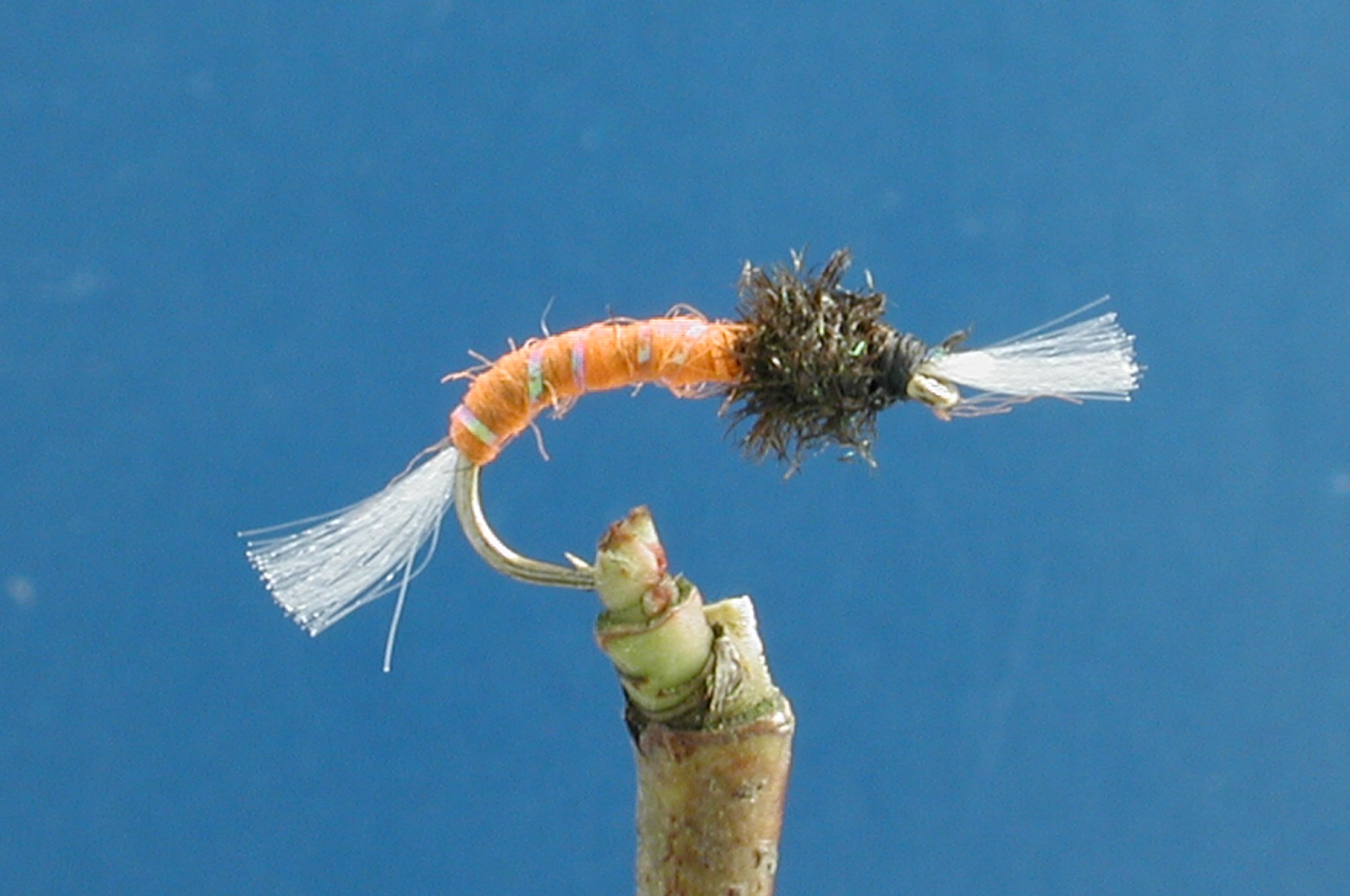 Elwyns Orange Buzzer