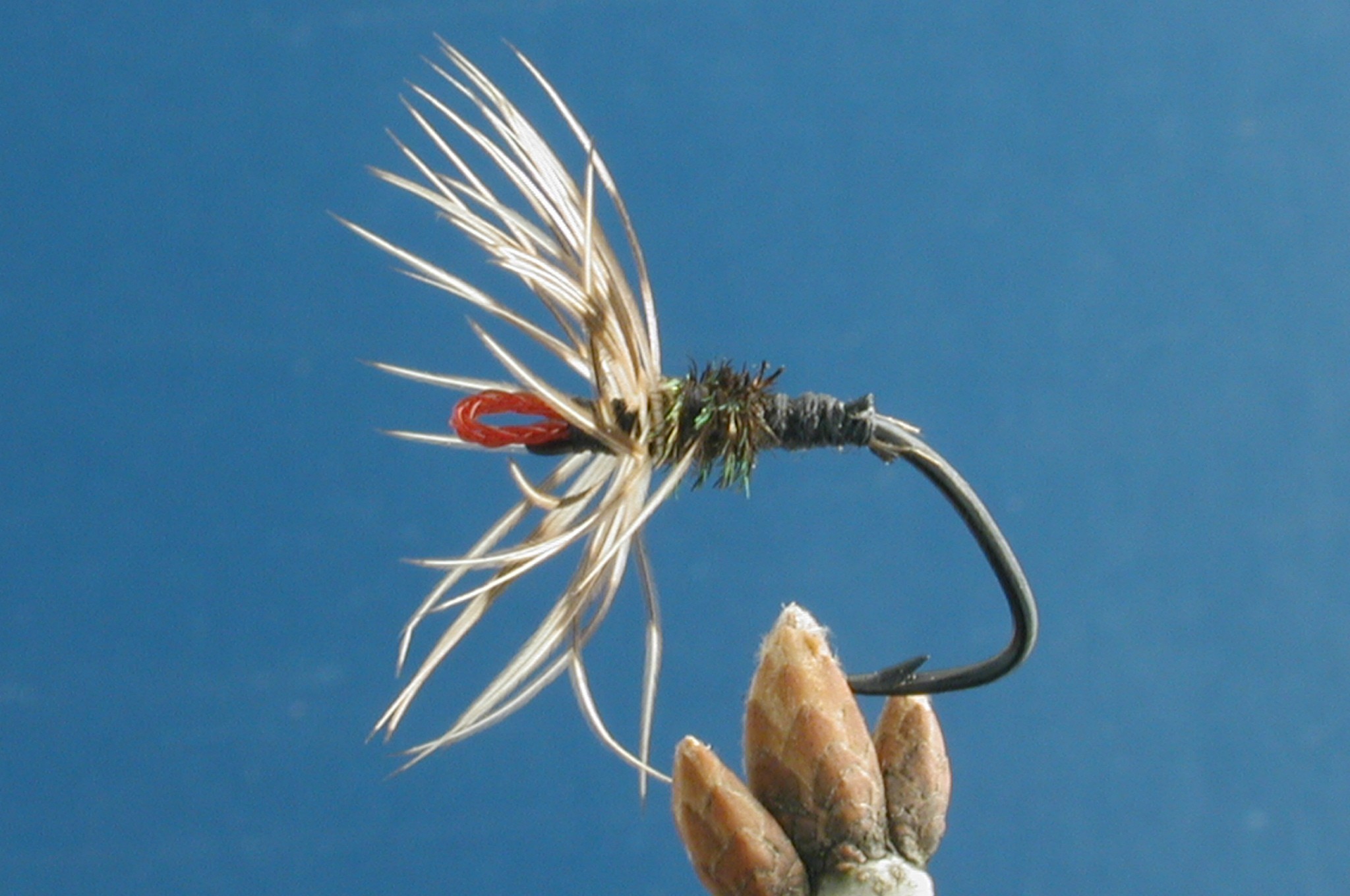 Takayama Sakasa-Kebari 3