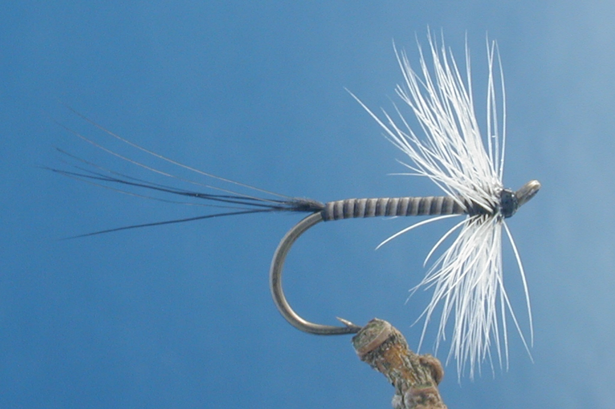 Badger Quill Hackle