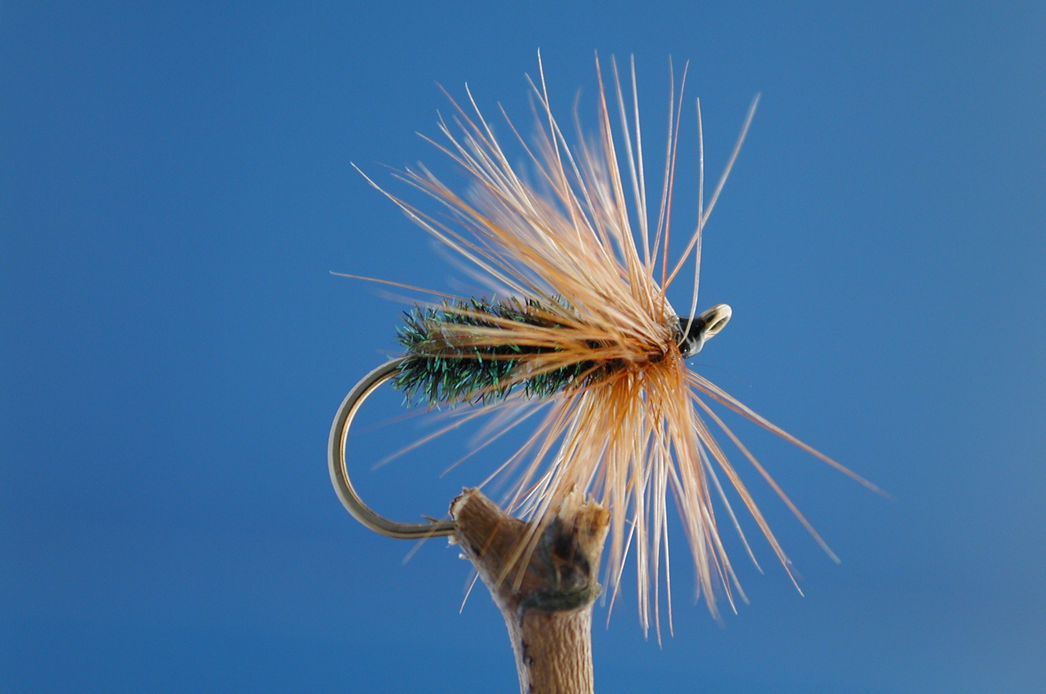 Red Hackle