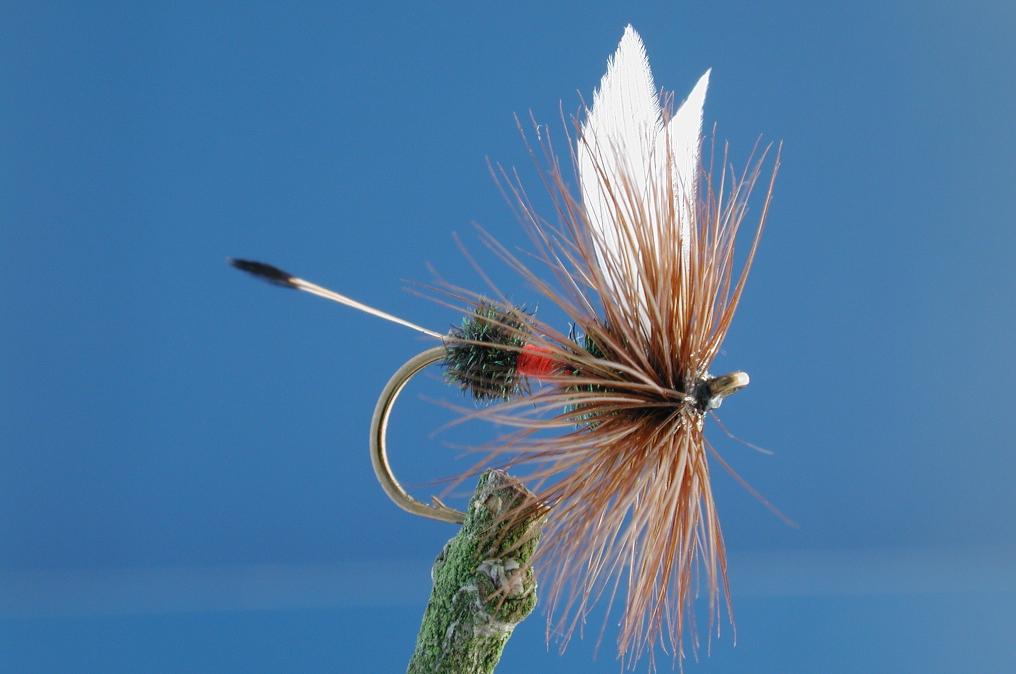 American Royal Coachman