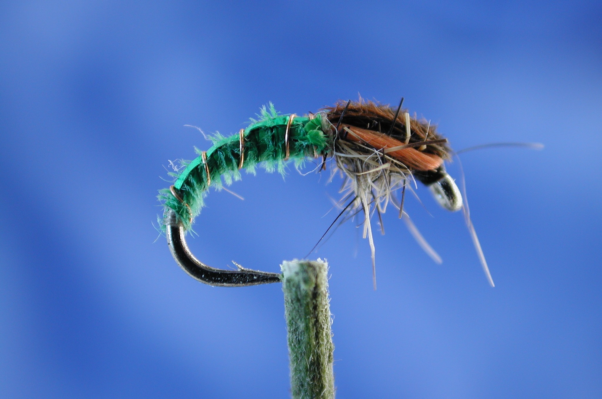 Morgans Small Green Midge