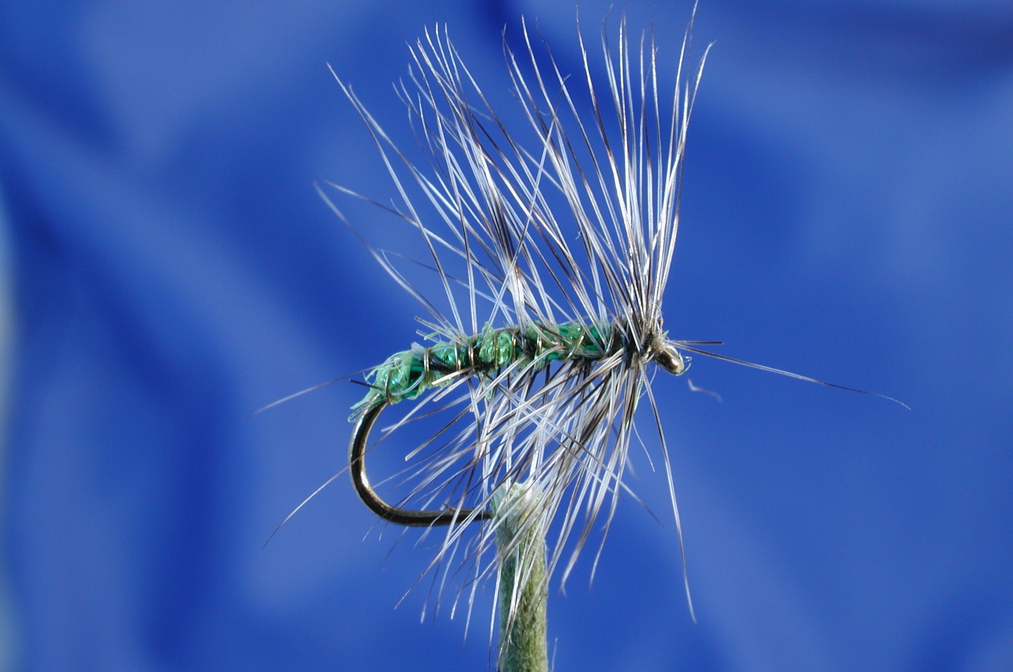 Morgans Small Green Emerger