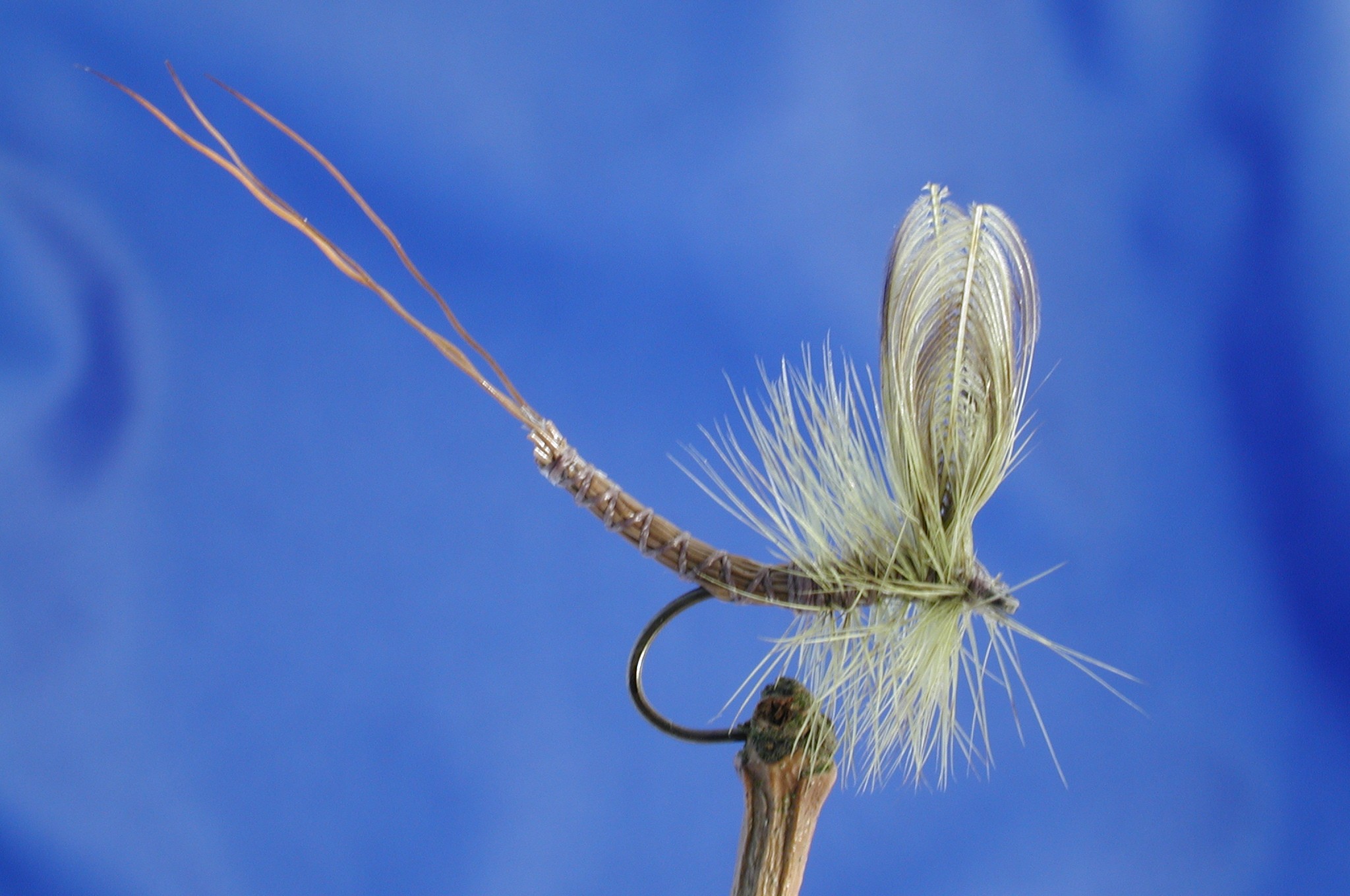 Wonder Wing Mayfly