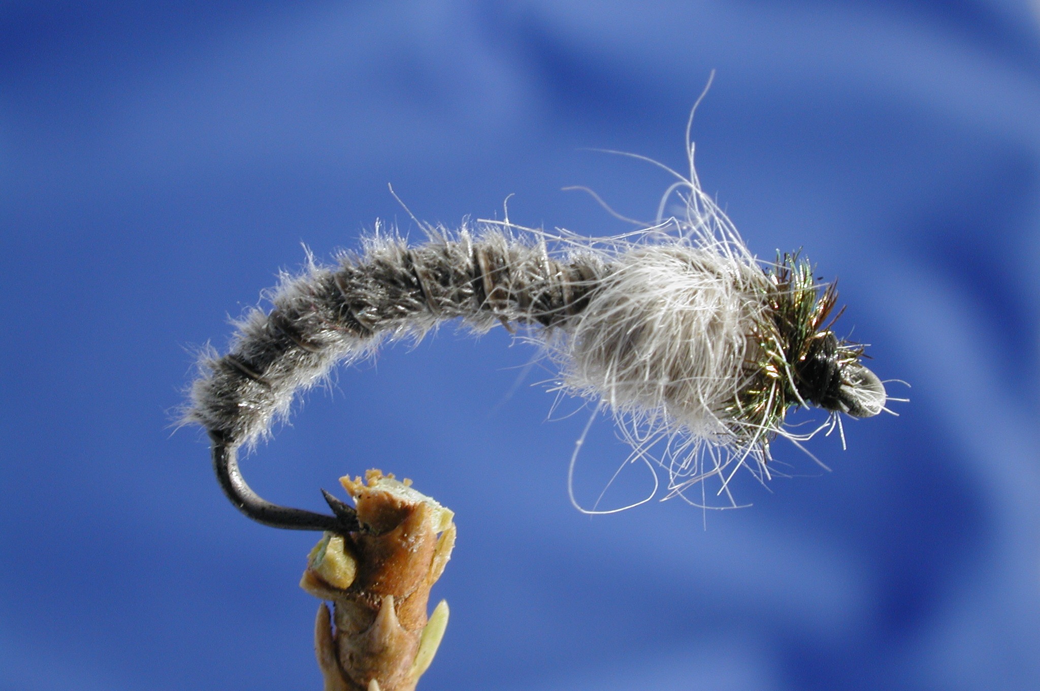 Waggoners Grey Buzzer