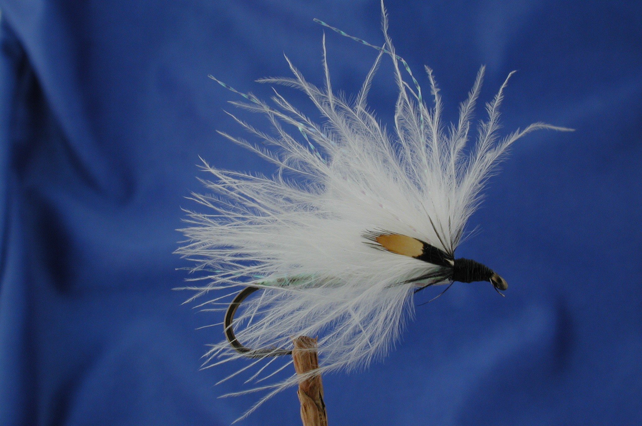 White Marabou