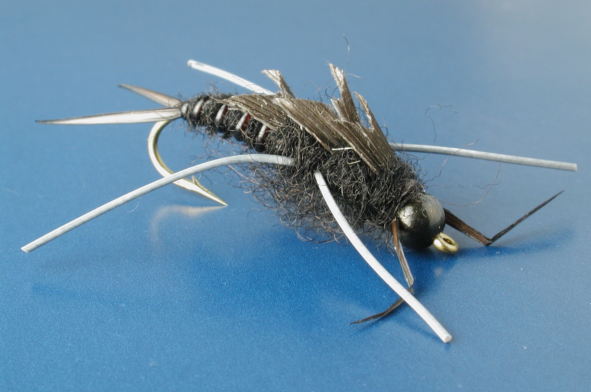 Large Black Stonefly Nymph
