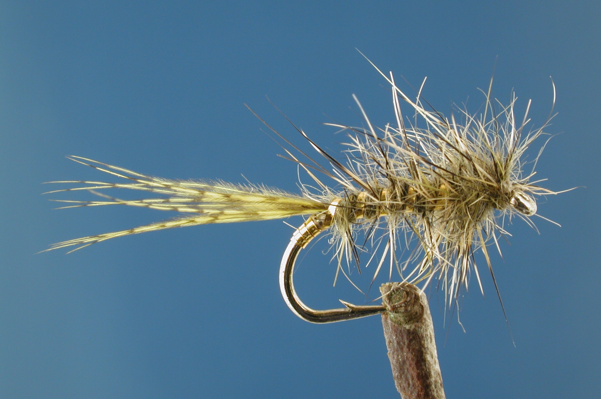 Morgans Olive Hares Ear