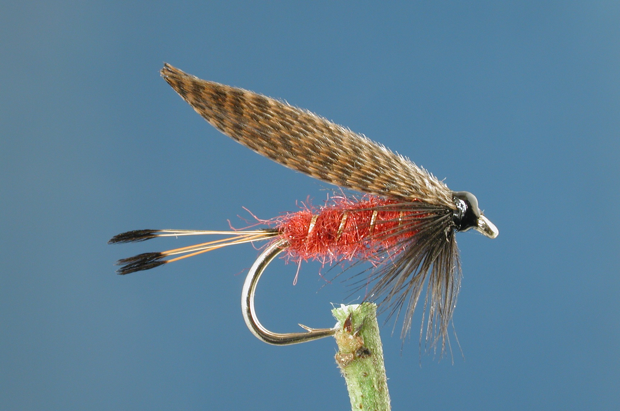 Claret and Mallard, variant