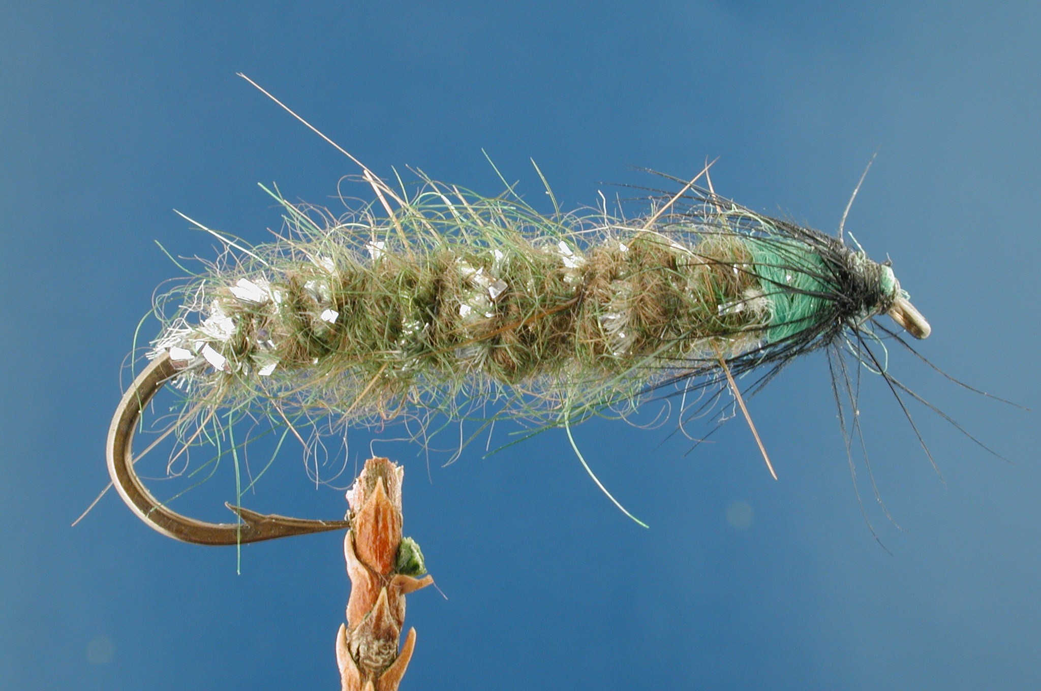 Bottom Caddis