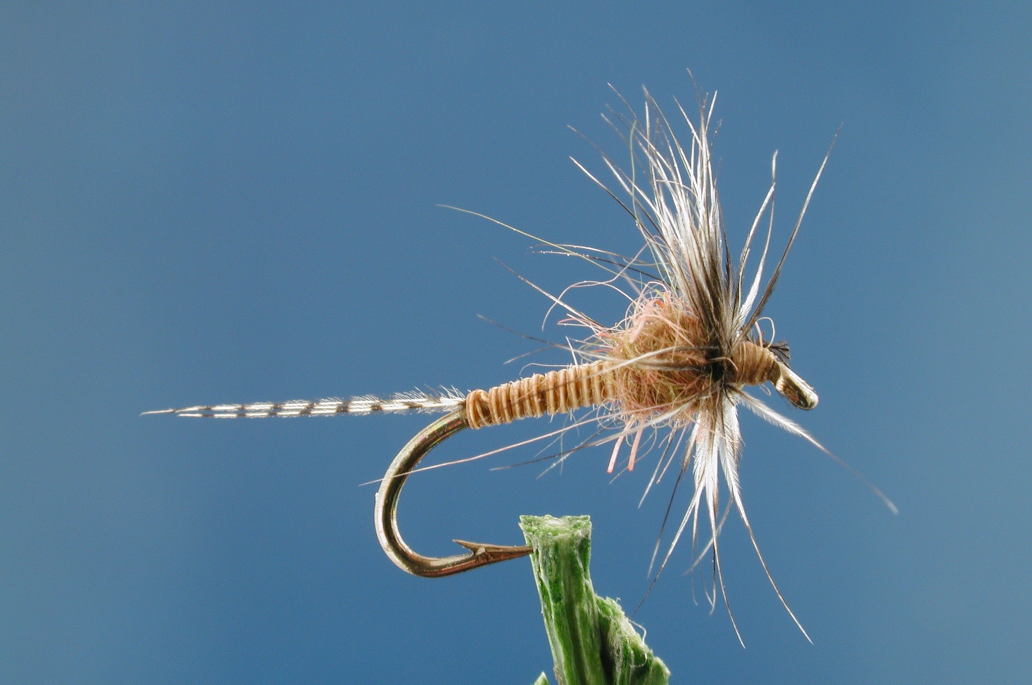 Floating Pheasant Tail