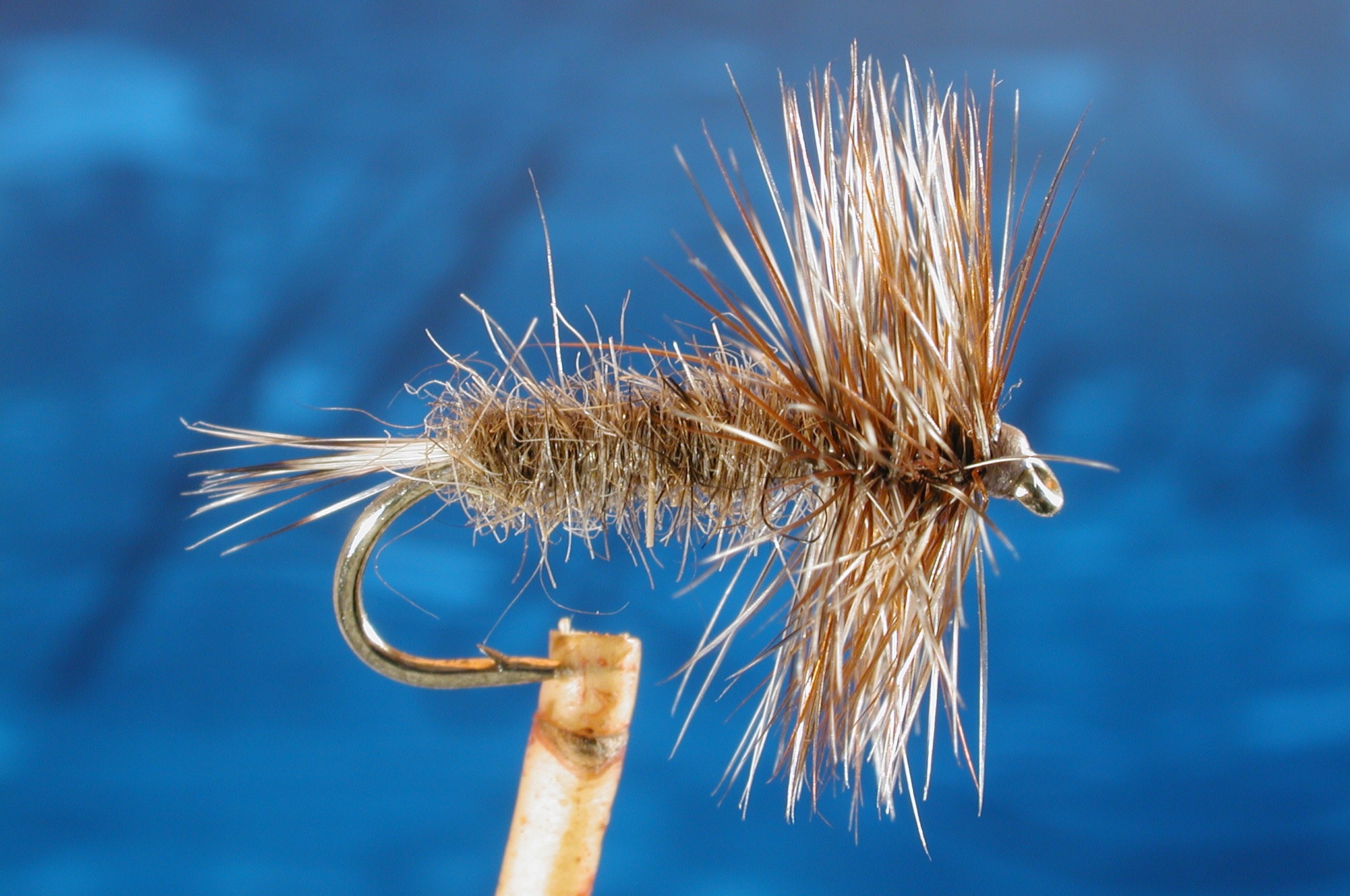Vermont Caddis