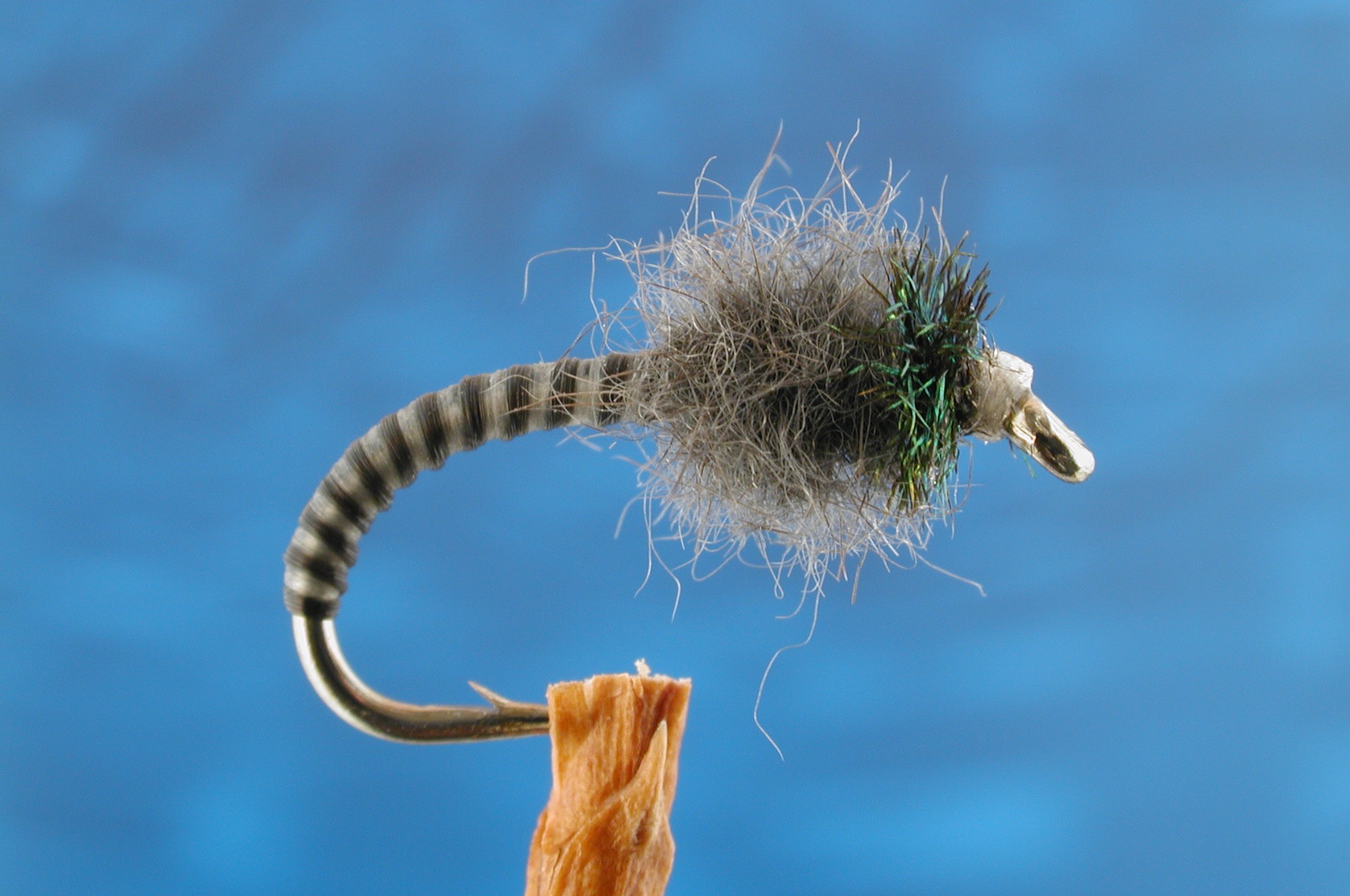 Flexi-Floss Footballer Nymph