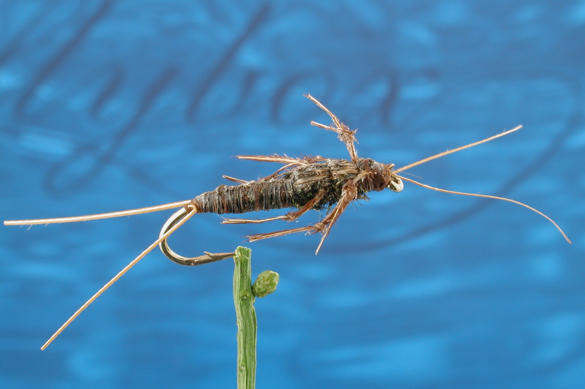 Sids Stonefly