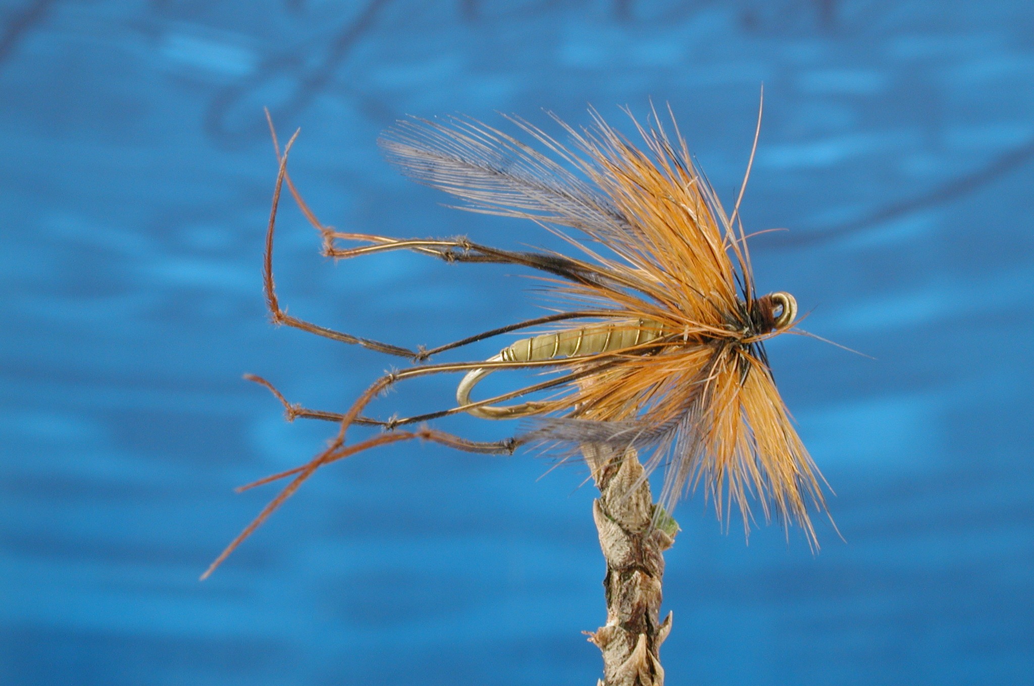 Raffia Daddy Longlegs