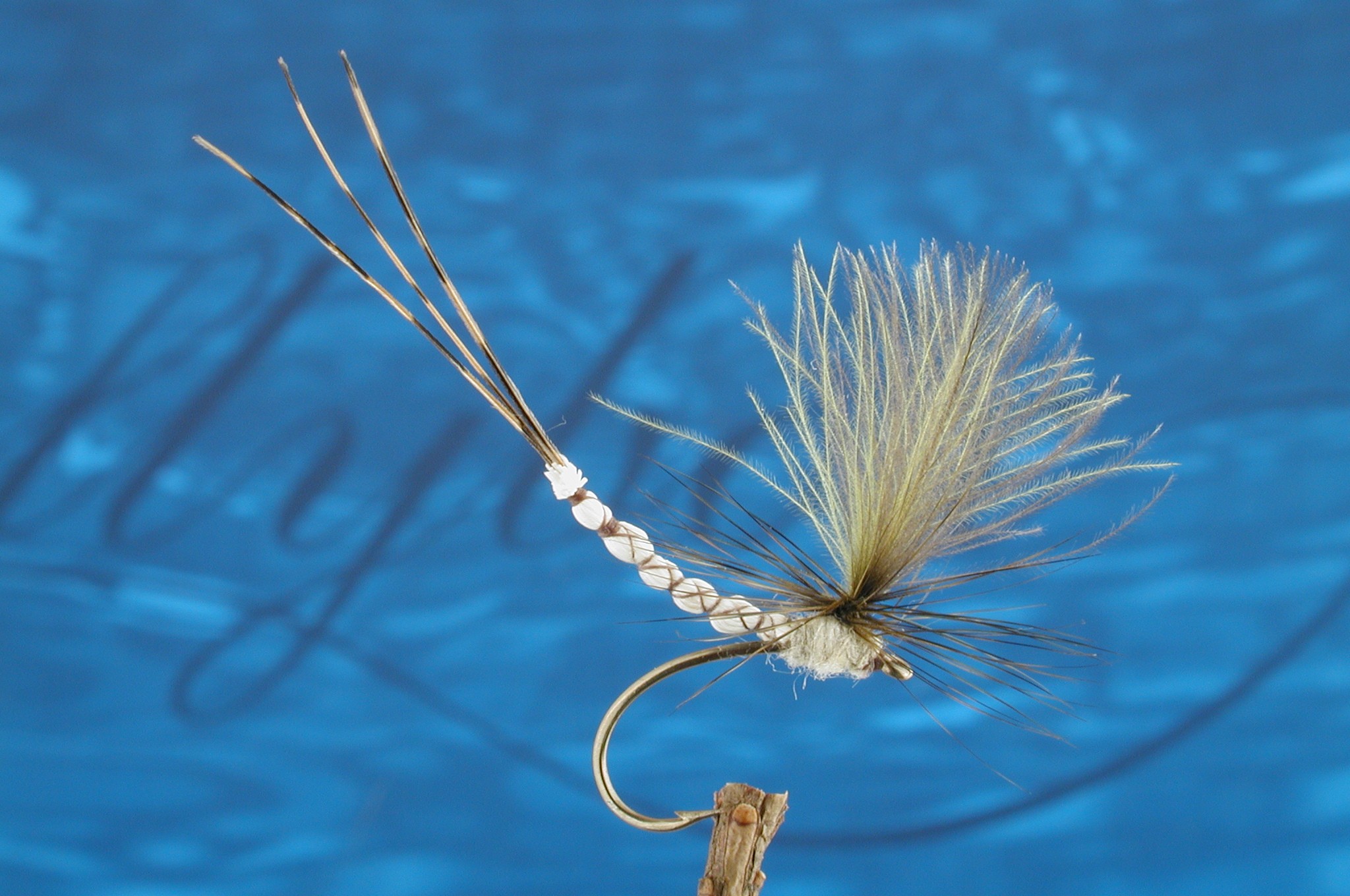 Mayfly Dun