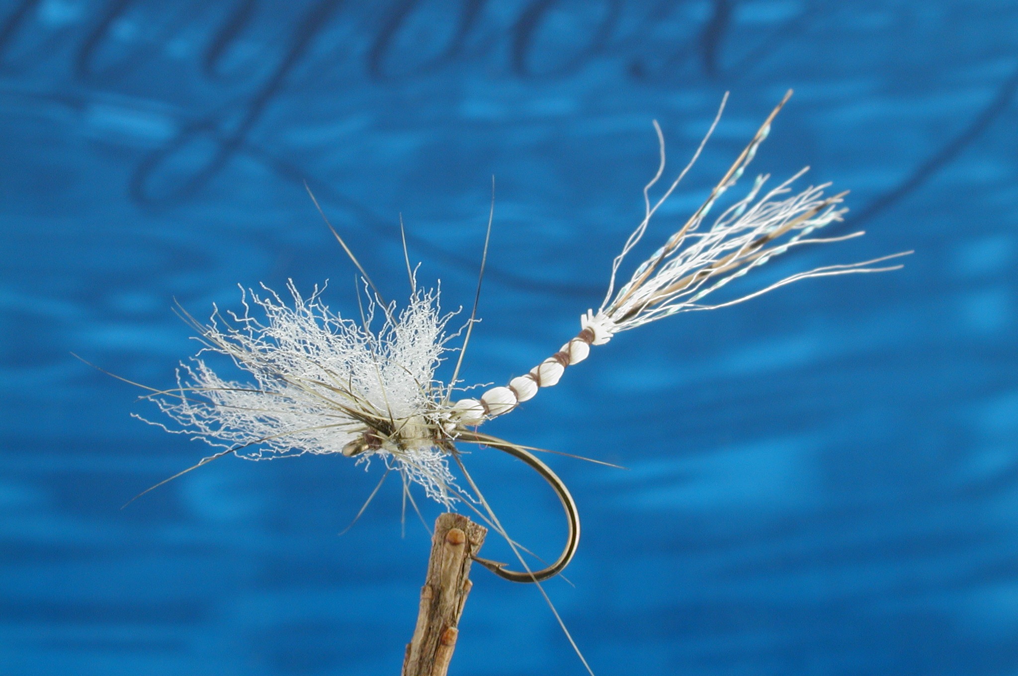 Stillborn Mayfly Cripple