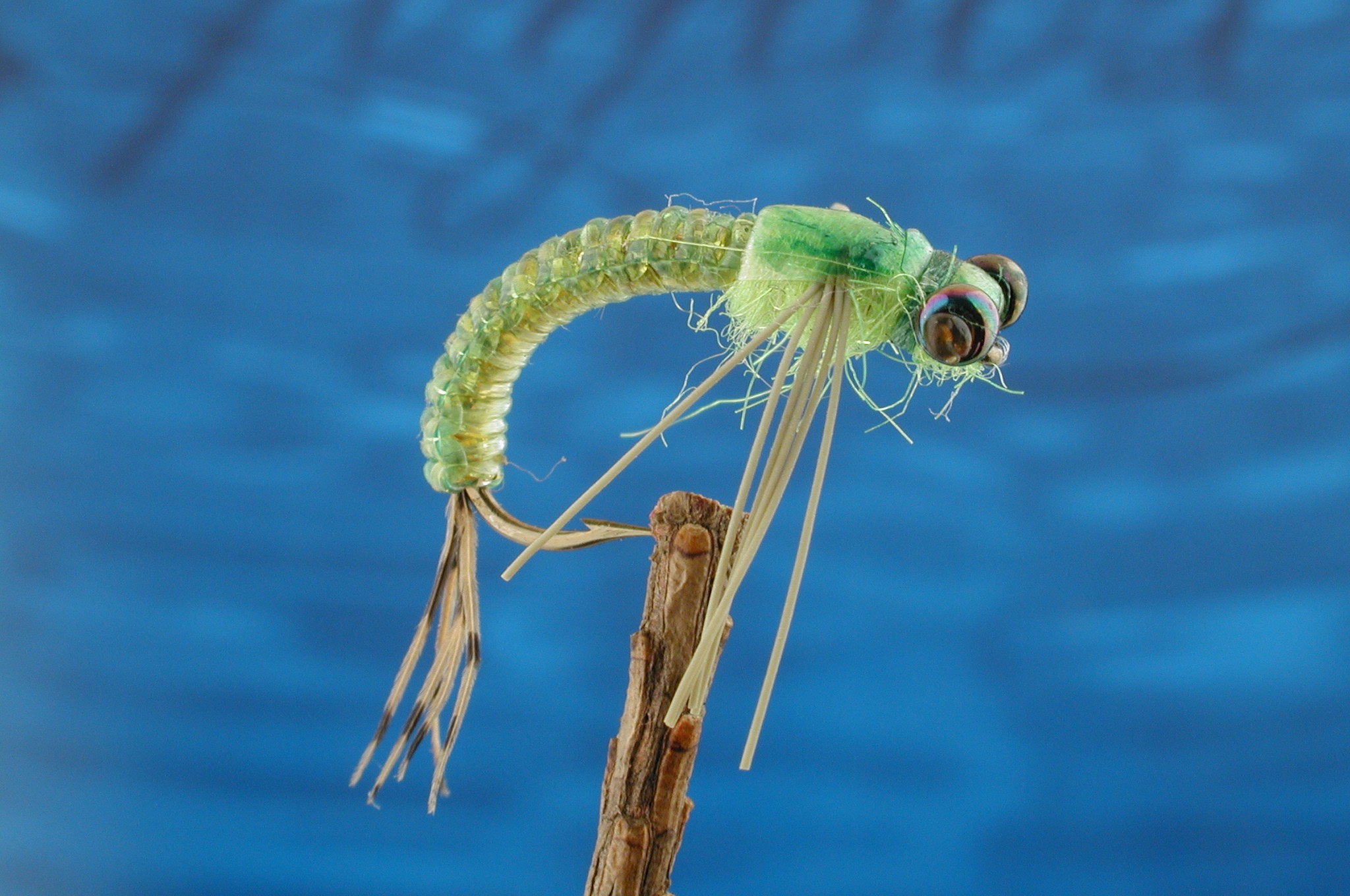 The B.O.H. (Box of Horrors)