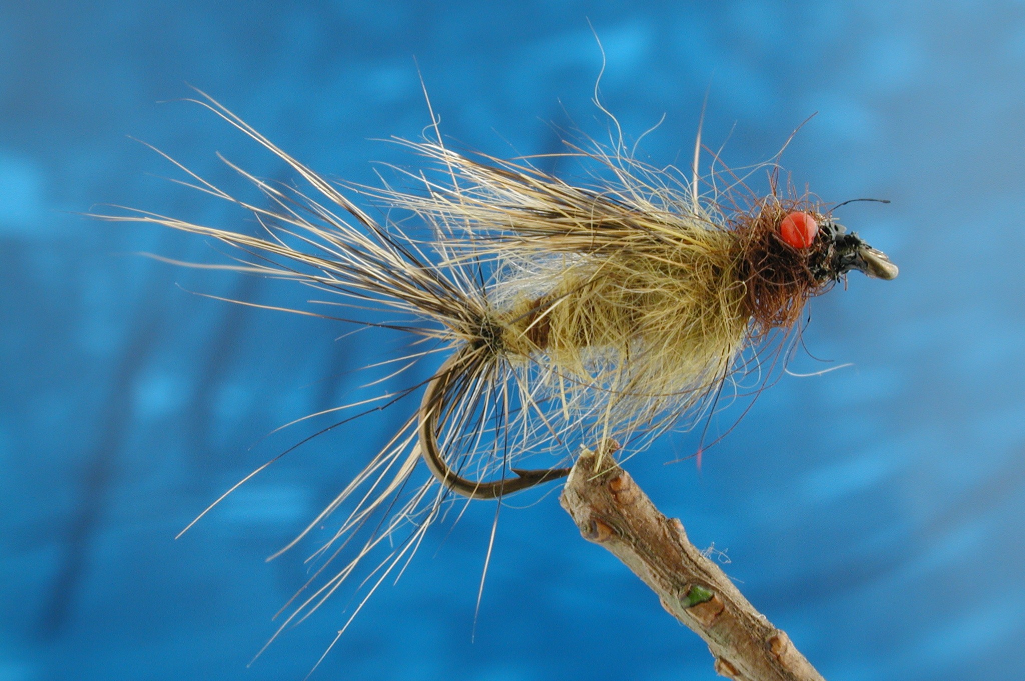 Hairy Red Eyed Blue Winged Olive Nymph