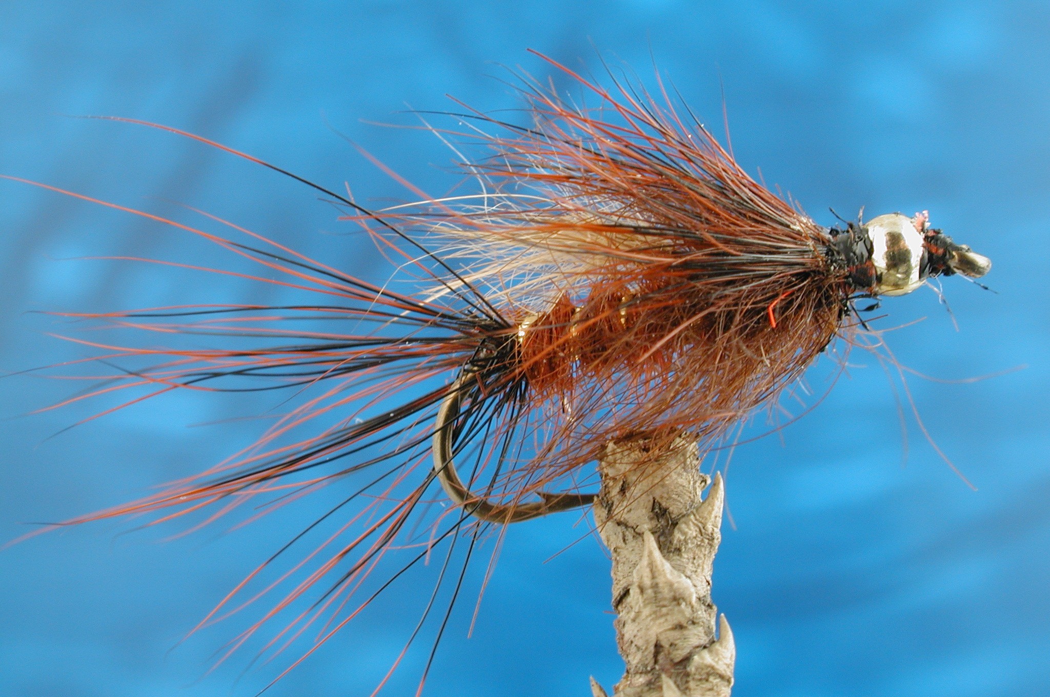 Goldhead Hairy Fiery Brown