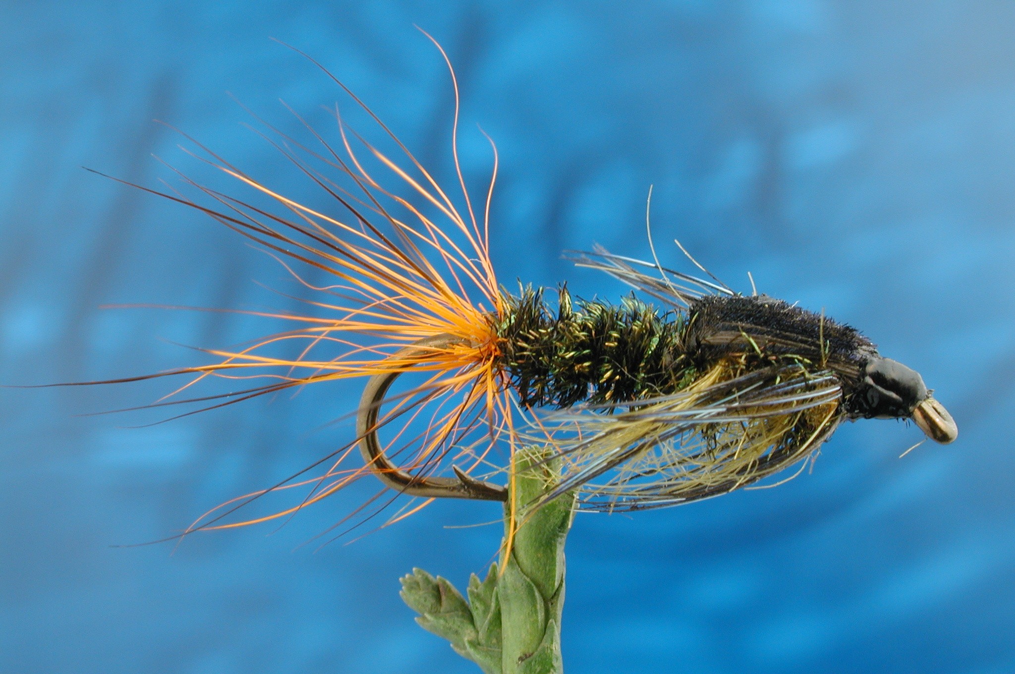 Olive Gorbenmac Nymph