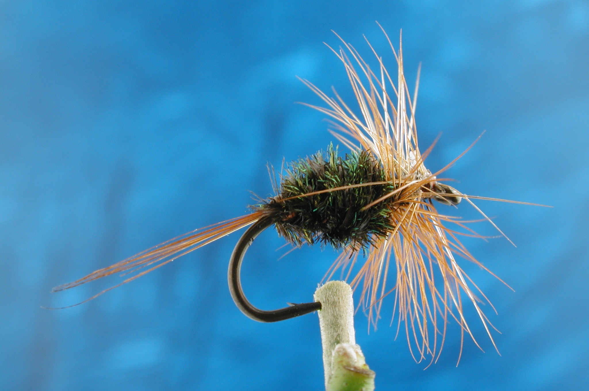 Coch-y-Bobhu Variant