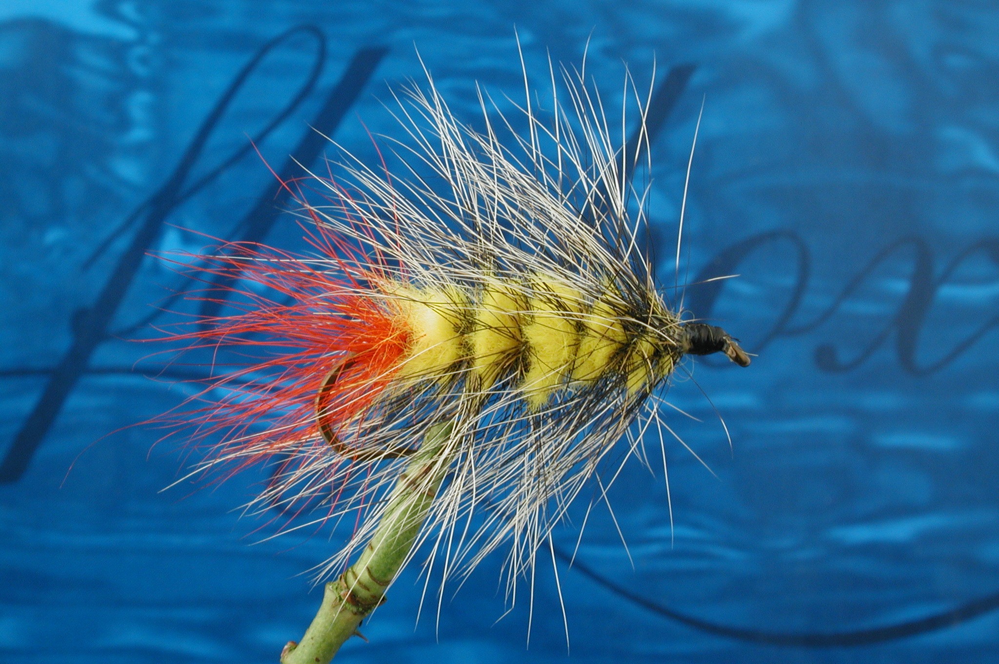 Hairy Yellow Badger Woolly Worm