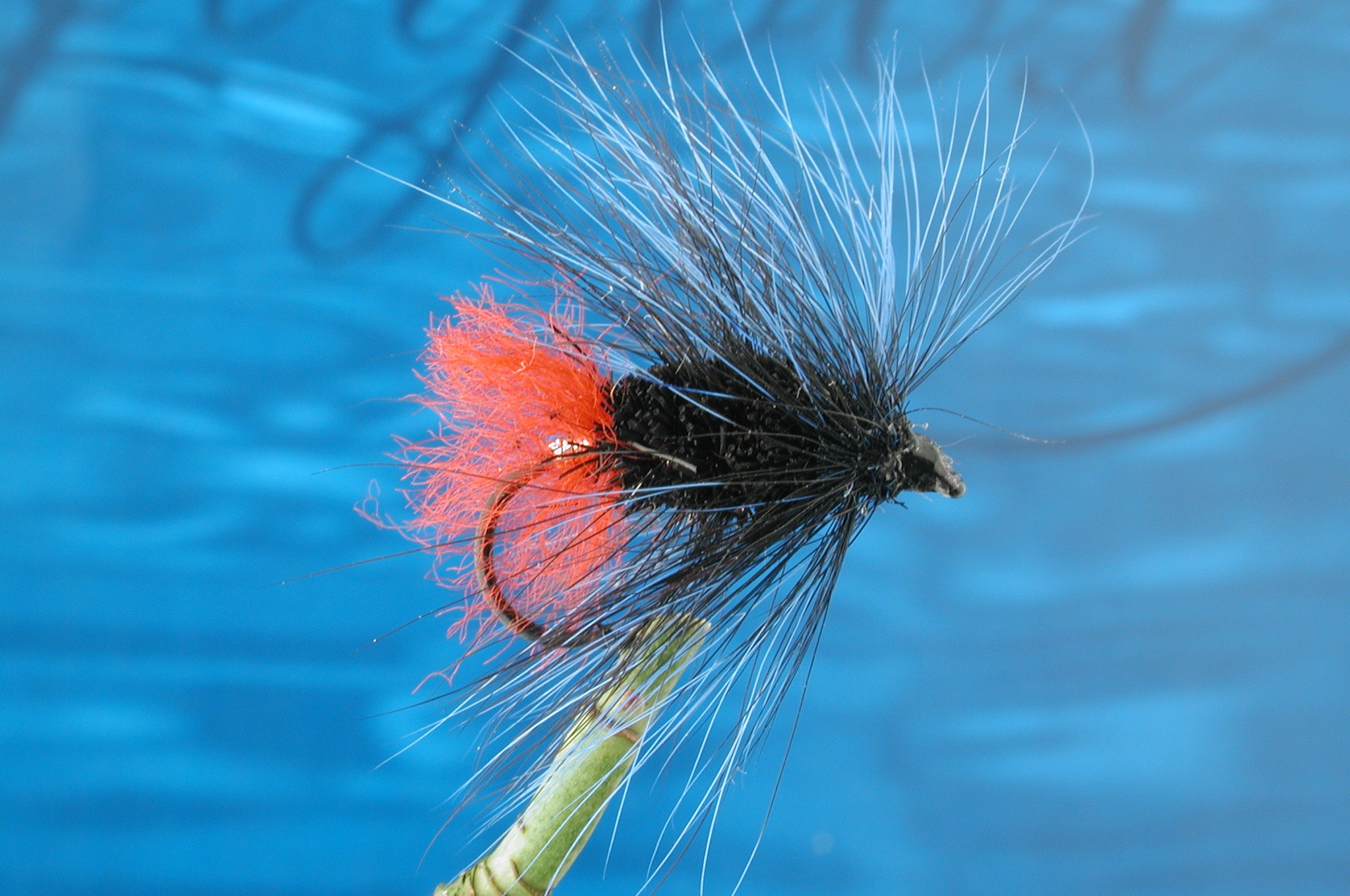 Hairy Blue Zulu Bomber