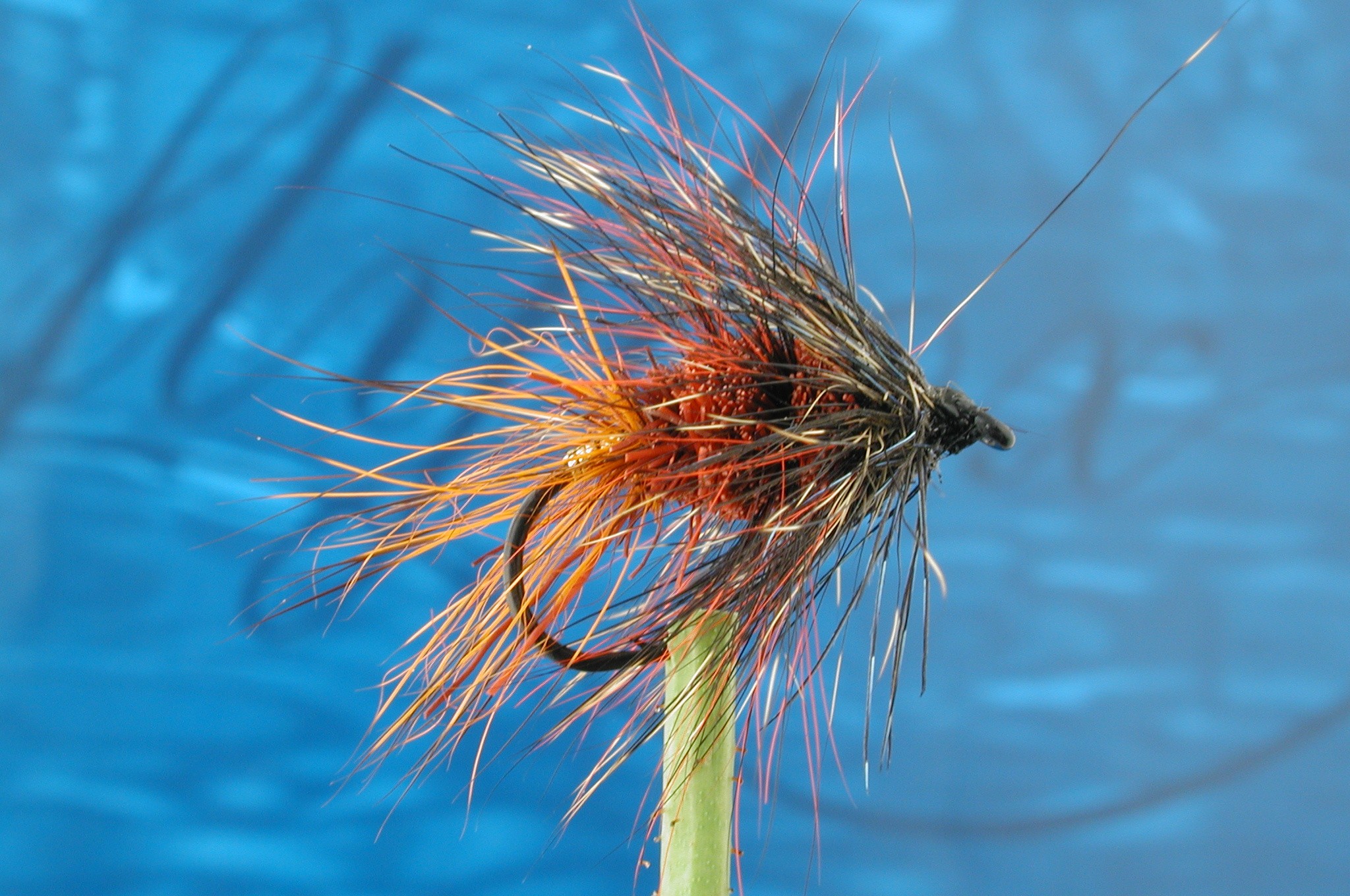 Hairy Claret Squirrel Bomber