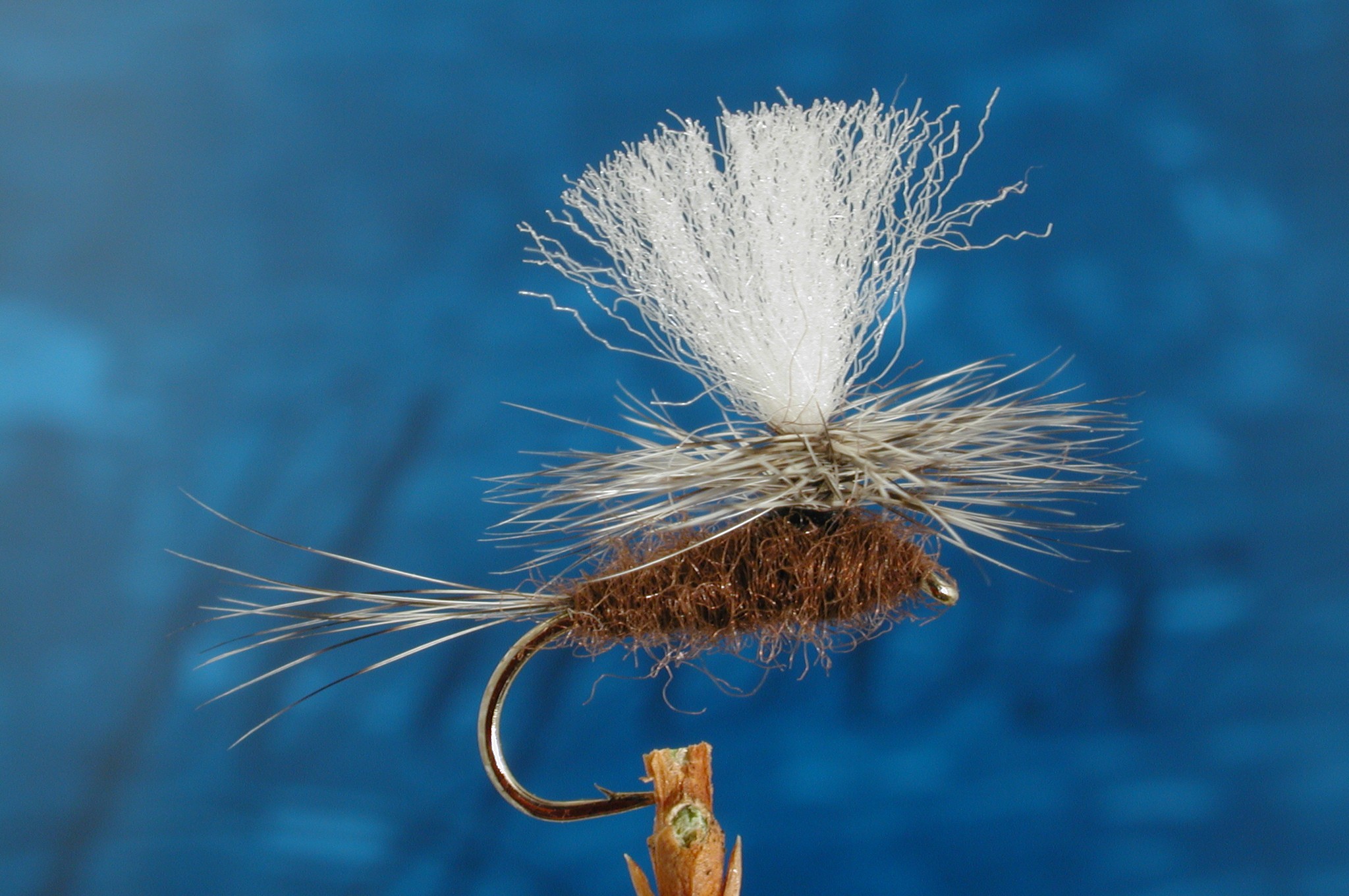 Brown Gulpar Special