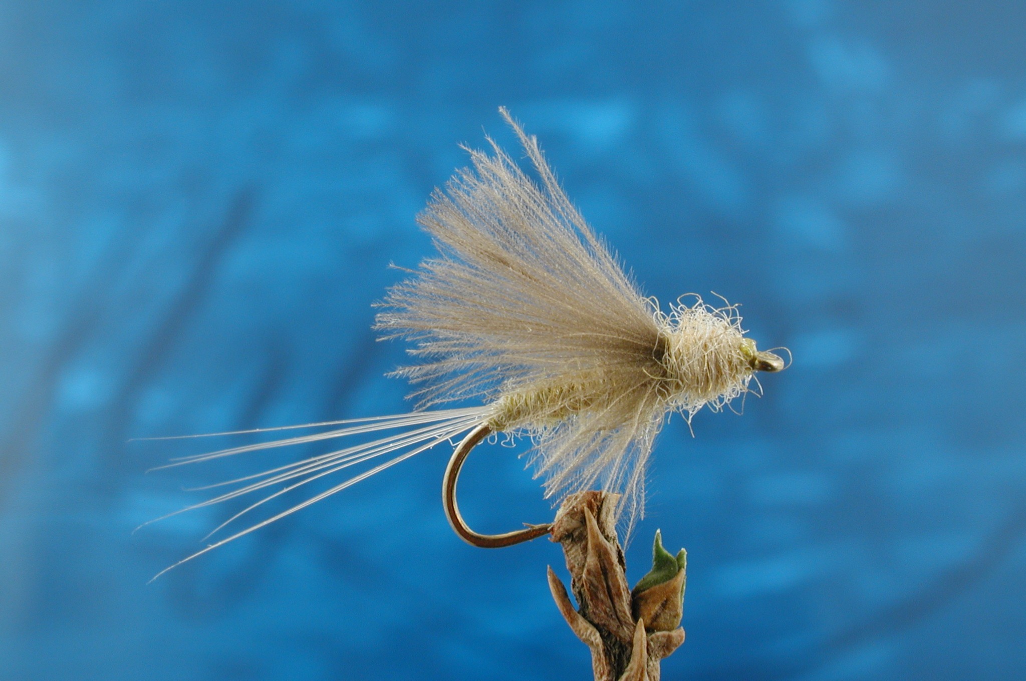 CDC Tailwater Dun Pale Morning Dun