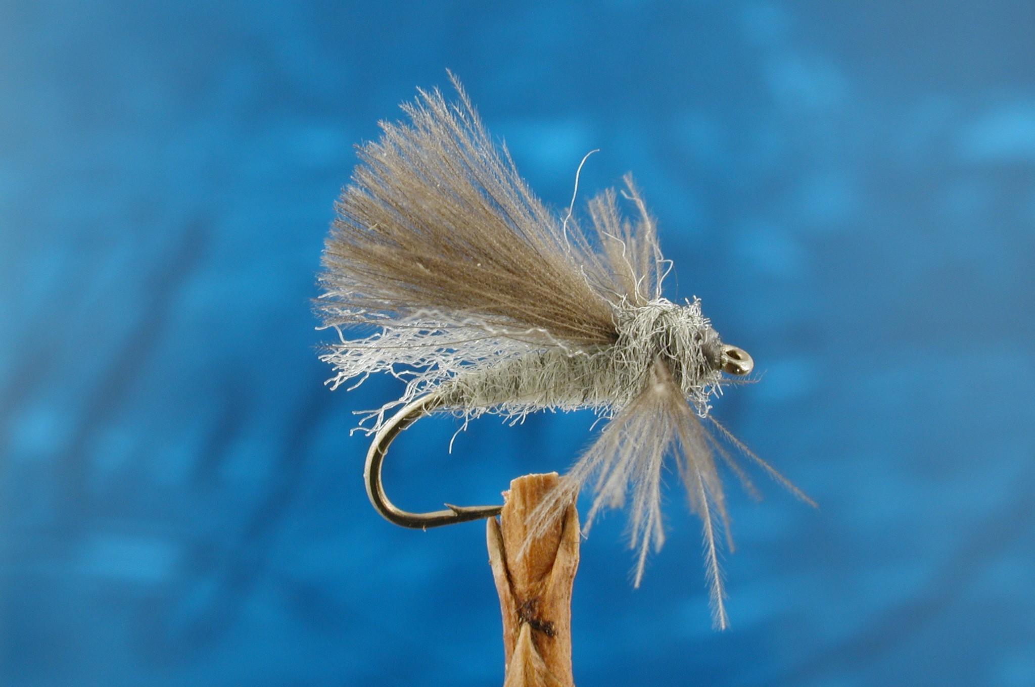 Grey CDC Adult Caddis