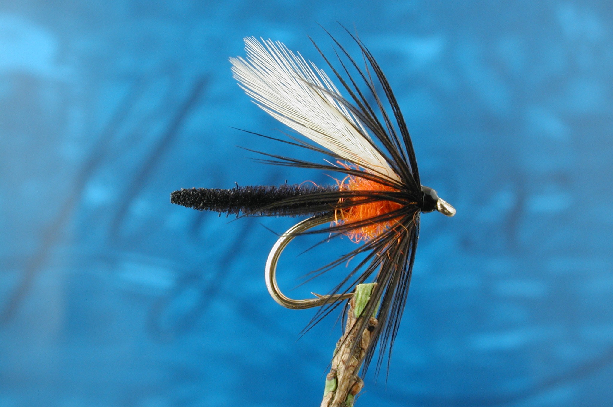 Shields Palamino Midge