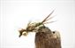 Weighted Dragon Fly Nymph