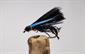 Kingfisher UV Cormorant